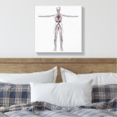 Toile Illustration Médicale : Système de reproduction ma (Insitu(Chambre))