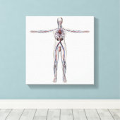 Toile Illustration Médicale : Système de reproduction ma (Insitu (Plancher de Bois))