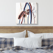 Toile Illustration Médicale : Système de reproduction ma (Insitu(Chambre))