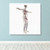 Toile Illustration Médicale : Système de reproduction ma (Insitu (Plancher de Bois))