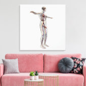 Toile Illustration Médicale : Système de reproduction ma (Insitu(Salon))