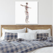 Toile Illustration Médicale : Système de reproduction ma (Insitu(Chambre))