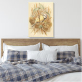 Toile Illustration vintage de Bluetit (Insitu(Chambre))