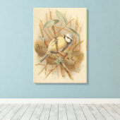 Toile Illustration vintage de Bluetit (Insitu (Plancher de Bois))