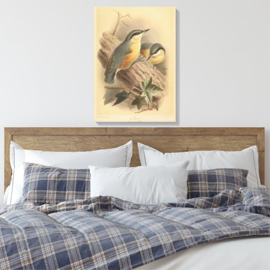 Toile Illustration vintage de Nuthatch (Insitu(Chambre))