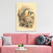 Toile Illustration vintage de Nuthatch (Insitu(Salon))