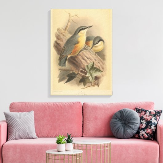 Toile Illustration vintage de Nuthatch (Insitu(Salon))