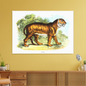 Toile Illustration vintage d'un animal tigre (Insitu(Salon))