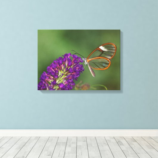 Toile Ils m'appellent Clear Wing (Insitu (Plancher de Bois))