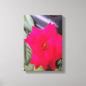 Toile Image Canvass Art (Recto)