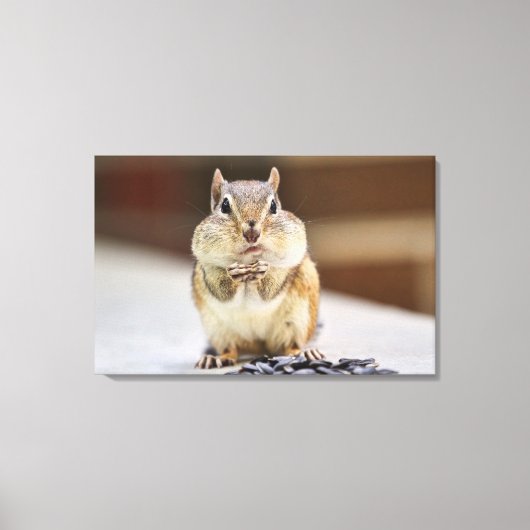 Toile Image Chipmunk (Recto)