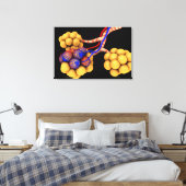 Toile Image Conceptuelle D'Alveoli 4 (Insitu(Chambre))