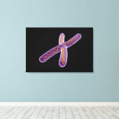 Toile Image Conceptuelle De Chromosome 2 (Insitu (Plancher de Bois))