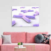Toile Image Conceptuelle De Chromosome 4 (Insitu(Salon))