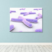 Toile Image Conceptuelle De Chromosome 4 (Insitu (Plancher de Bois))