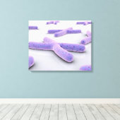 Toile Image Conceptuelle De Chromosome 4 (Insitu (Plancher de Bois))