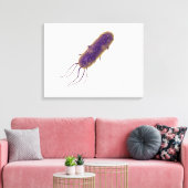 Toile Image Conceptuelle De La Bactérie Flagellée 2 (Insitu(Salon))