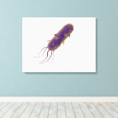 Toile Image Conceptuelle De La Bactérie Flagellée 2 (Insitu (Plancher de Bois))