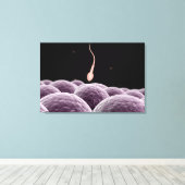 Toile Image Conceptuelle De La Fertilisation (Insitu (Plancher de Bois))