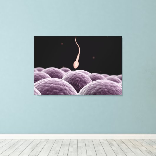 Toile Image Conceptuelle De La Fertilisation (Insitu (Plancher de Bois))