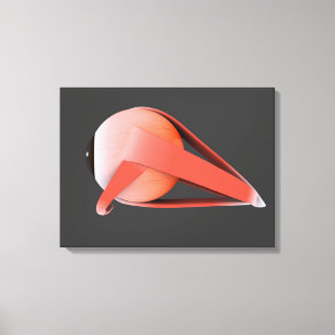 Toile Image conceptuelle de l'anatomie 7 d'oeil humain