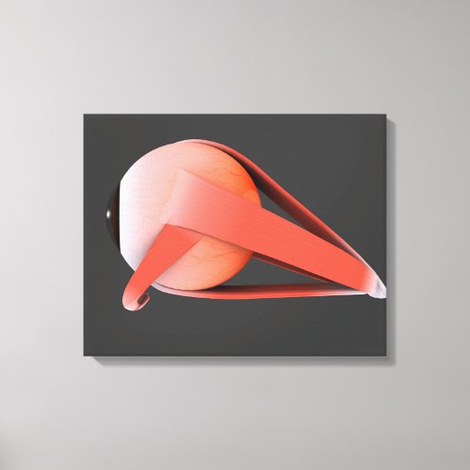 Toile Image Conceptuelle De L'Anatomie Des Yeux Humains (Recto)