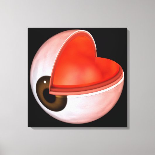 Toile Image Conceptuelle De L'Anatomie Des Yeux Humains  (Recto)