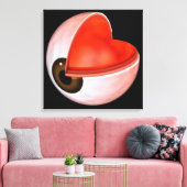 Toile Image Conceptuelle De L'Anatomie Des Yeux Humains  (Insitu(Salon))