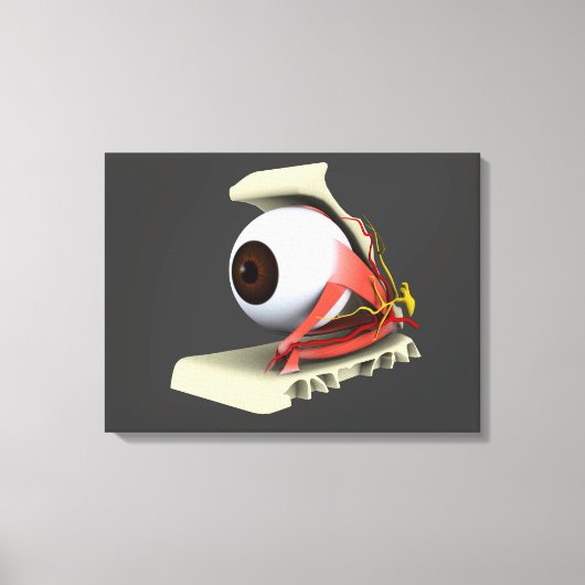 Toile Image Conceptuelle De L'Anatomie Des Yeux Humains  (Recto)