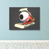 Toile Image Conceptuelle De L'Anatomie Des Yeux Humains  (Insitu (Plancher de Bois))