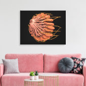 Toile Image Conceptuelle De L'Anatomie Du Sein Féminin (Insitu(Salon))