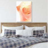 Toile Image Conceptuelle De L'Anatomie Du Sein Féminin 1 (Insitu(Chambre))