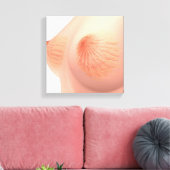 Toile Image Conceptuelle De L'Anatomie Du Sein Féminin 4 (Insitu(Salon))