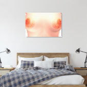 Toile Image Conceptuelle De L'Anatomie Du Sein Féminin 7 (Insitu(Chambre))