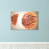 Toile Image Conceptuelle De L'Anatomie Du Sein Féminin 8 (Insitu (Plancher de Bois))