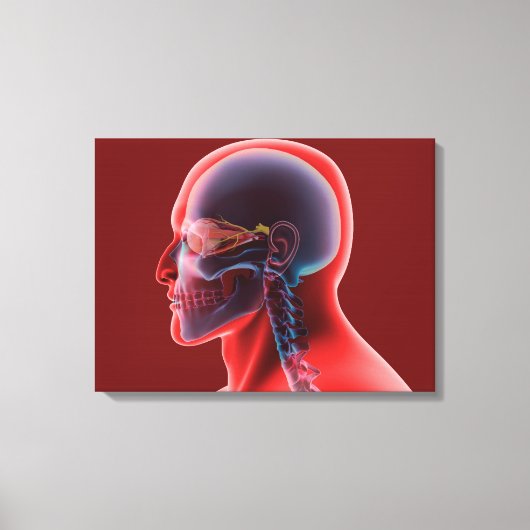 Toile Image Conceptuelle De L'Oeil Et Du Crâne Humains (Recto)