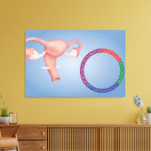 Toile Image Conceptuelle De L'Organe De Reproduction Fém (Insitu(Salon))