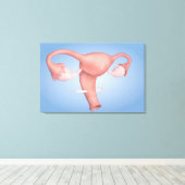 Toile Image Conceptuelle De L'Organe De Reproduction Fém (Insitu (Plancher de Bois))