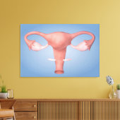 Toile Image Conceptuelle De L'Organe De Reproduction Fém (Insitu(Salon))