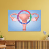 Toile Image Conceptuelle De L'Organe De Reproduction Fém (Insitu(Salon))