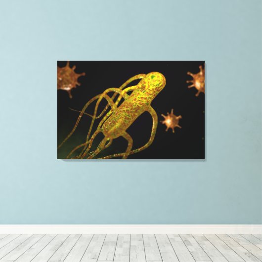 Toile Image Conceptuelle De Salmonella Typhi 1 (Insitu (Plancher de Bois))