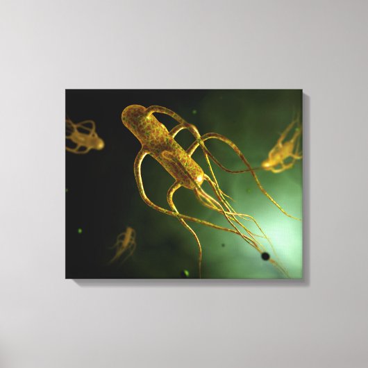 Toile Image Conceptuelle De Salmonella Typhi 2 (Recto)
