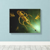 Toile Image Conceptuelle De Salmonella Typhi 2 (Insitu (Plancher de Bois))
