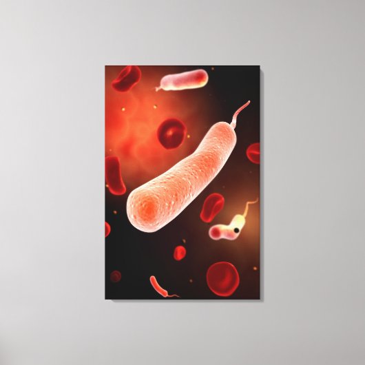 Toile Image Conceptuelle De Vibrio Cholerae 2 (Recto)