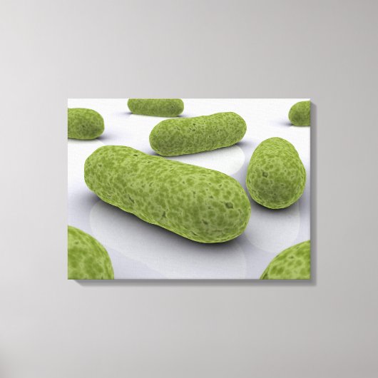 Toile Image Conceptuelle Des Bactéries 1 (Recto)