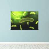 Toile Image Conceptuelle Des Bactéries Communes (Insitu (Plancher de Bois))