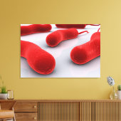 Toile Image Conceptuelle Des Bactéries De Cholérae (Insitu(Salon))