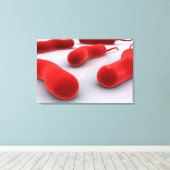 Toile Image Conceptuelle Des Bactéries De Cholérae (Insitu (Plancher de Bois))