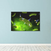 Toile Image Conceptuelle Des Bactéries De Tuage D'Antibe (Insitu (Plancher de Bois))