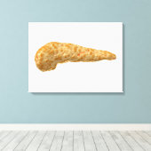 Toile Image Conceptuelle Des Pancréas Humains (Insitu (Plancher de Bois))